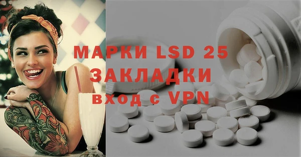PSILOCYBIN Горняк