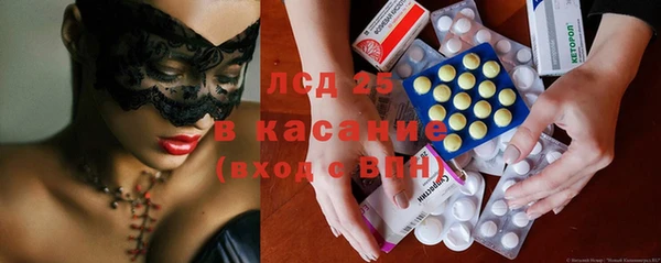 PSILOCYBIN Горняк