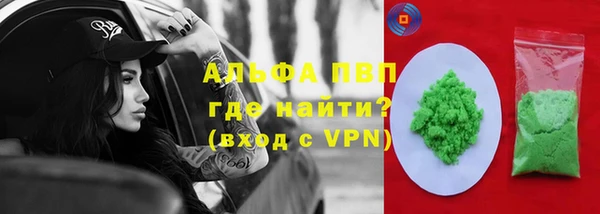 PSILOCYBIN Горняк