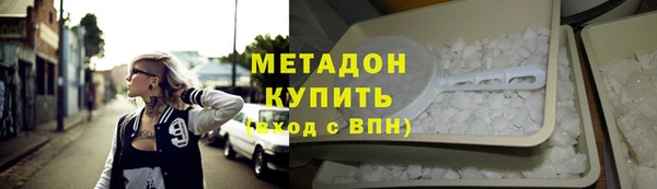 PSILOCYBIN Горняк