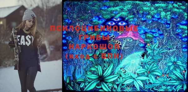 дживик Горнозаводск