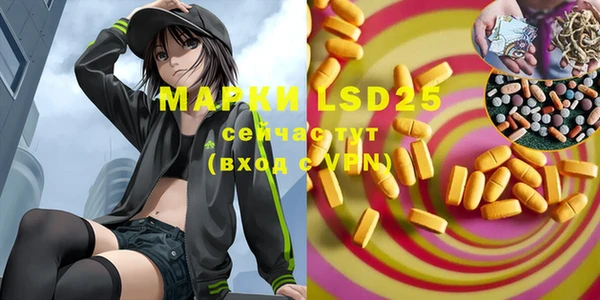 PSILOCYBIN Горняк