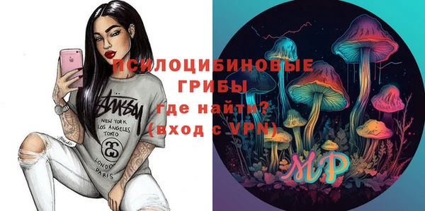 дживик Горнозаводск