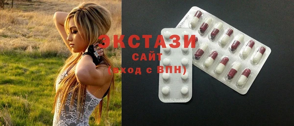 PSILOCYBIN Горняк