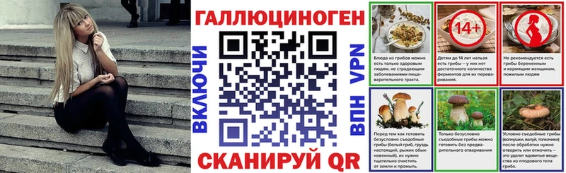 даркнет сайт Задонск Псилоцибиновые грибы Magic Shrooms